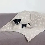 Trixie Decke Kenny f&uuml;r Hunde und Katzen Beige 150 x 100 cm