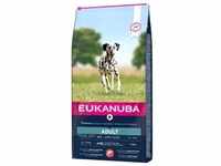 Eukanuba Adult Large mit Lachs & Gerste Hundefutter 12 kg