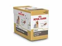 Royal Canin Adult Yorkshire Terrier Nassfutter 1 Karton (12 x 85 g)