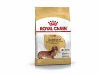 Royal Canin Adult Dachshund Nassfutter 1 Karton (12 x 85 g)