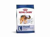 Royal Canin Maxi Adult Nassfutter 1 Karton (10 x 140 g)