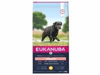 Eukanuba Senior Large Breed Huhn Hundefutter 15 kg