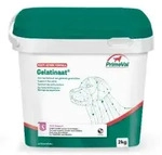 Primeval Gelatine f&uuml;r Hunde 2 kg