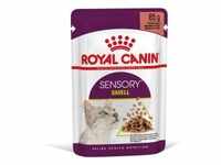 Royal Canin Sensory Smell Katzen-Nassfutter 1 Karton (12 x 85 g)