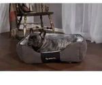 Scruffs Chester Box Bed Hundebett Graphite XL