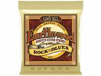 Ernie Ball Earthwood Rock and Blues 80/20 Bronze 2008 .010-052 Saiten, Gitarre/Bass