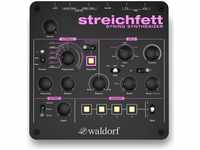 Waldorf Streichfett Synthesizer, Tasteninstrumente &gt; Synthesizer/Sampler &gt;
