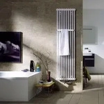 Zehnder Charleston Bar CPV 3180-14 Badheizk&ouml;rper 66,9 x 180 cm, Heizung,