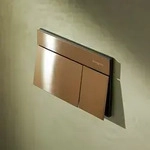 hansgrohe iFrame Element E Bet&auml;tigungsplatte f&uuml;r 2-Mengen-Sp&uuml;lung,