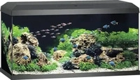 Juwel Aquarium Primo - Schwarz - 110 L