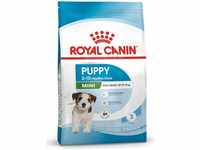 Royal Canin Mini Puppy Hundefutter - 8 kg