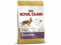 Royal Canin Cocker Adult Hundefutter - 3 kg