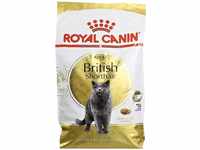 Royal Canin British Shorthair Adult Katzenfutter - 10 kg