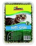 GimCat Katzengras - Vitaminreich - 100 g
