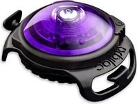 Orbiloc Dog Dual Safety Light - Violett
