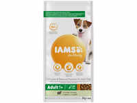 IAMS Adult Small & Medium Hundefutter - Lamm - 12 kg