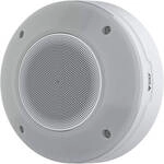 AXIS D4200-VE Lautsprecher mit Blitzsirene, IP66 02930-001