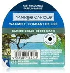 Yankee Candle Bayside Cedar wachs f&uuml;r aromalampen 22 g