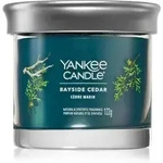 Yankee Candle Bayside Cedar Duftkerze 122 g