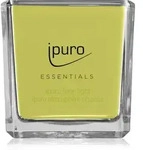ipuro Essentials Lime Light Duftkerze 125 g