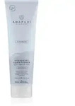 Paul Mitchell Awapuhi Wild Ginger HydraSoft Condicioner feuchtigkeitsspendender