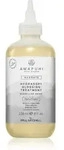 Paul Mitchell Awapuhi Wild Ginger HydraSoft Glossing Treatment intensive Haarkur f&uuml;r
