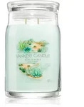 Yankee Candle Aloe & Agave Duftkerze 567 g