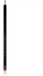 Anastasia Beverly Hills Lip Liner Konturstift f&uuml;r die Lippen Farbton Auburn...
