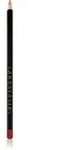 Anastasia Beverly Hills Lip Liner Konturstift f&uuml;r die Lippen Farbton Sandstone...
