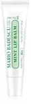 Mario Badescu Mint Lip Balm ultra-n&auml;hrender Balsam f&uuml;r die Lippen 10 g