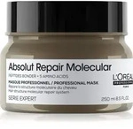L&rsquo;Or&eacute;al Professionnel Serie Expert Absolut Repair Molecular Tiefenwirksame