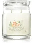 Yankee Candle White Spruce & Grapefruit Duftkerze 368 g
