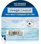 Yankee Candle Ocean Air wachs f&uuml;r aromalampen 22 g
