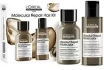 L&rsquo;Or&eacute;al Professionnel Serie Expert Absolut Repair Molecular Geschenkset f&uuml;r