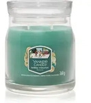 Yankee Candle Holiday Winterfest Duftkerze Signature 368 g