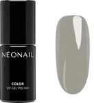 NEONAIL Unwritten Canvas Gel Nagellack f&uuml;r UV/LED Lampe Farbton Walnut Poem 7.2 ml