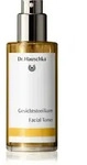 Dr. Hauschka Cleansing And Tonization Gesichtstonikum 100 ml