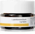 Dr. Hauschka Eye And Lip Care Lip Balm Lippenkosmetikum 4.5 ml