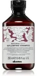 Davines Naturaltech Replumping Shampoo hydratisierendes Shampoo 250 ml