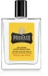 Proraso Wood and Spice hydratisierendes After Shave Balsam 100 ml