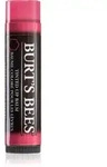 Burt&rsquo;s Bees Tinted Lip Balm Lippenbalsam Farbton Hibiscus 4.25 g