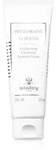 Sisley Phyto-Blanc La Mousse aufhellender Reinigungsschaum 125 ml