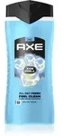 Axe Ice Chill Duschgel f&uuml;r Gesicht, K&ouml;rper und Haare 400 ml