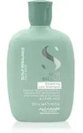 Alfaparf Milano Semi Di Lino Scalp Rebalance Shampoo f&uuml;r fettige Kopfhaut 250...
