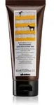 Davines Naturaltech Nourishing Maske f&uuml;r trockenes und besch&auml;digtes Haar 60 ml