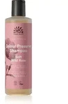 Urtekram Soft Wild Rose sanftes Shampoo f&uuml;r gef&auml;rbtes Haar 250 ml
