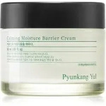 Pyunkang Yul Calming Moisture Barrier Cream beruhigende und regenerierende Creme f&uuml;r
