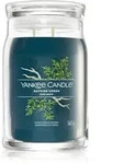 Yankee Candle Bayside Cedar Duftkerze Signature 567 g