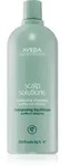 Aveda Scalp Solutions Balancing Shampoo beruhigendes Shampoo f&uuml;r die Erneuerung der