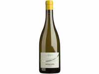 somereto Chardonnay Cantina Andrian 2023 Andrian Südtirol